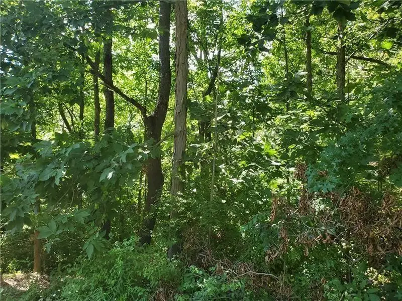 #3