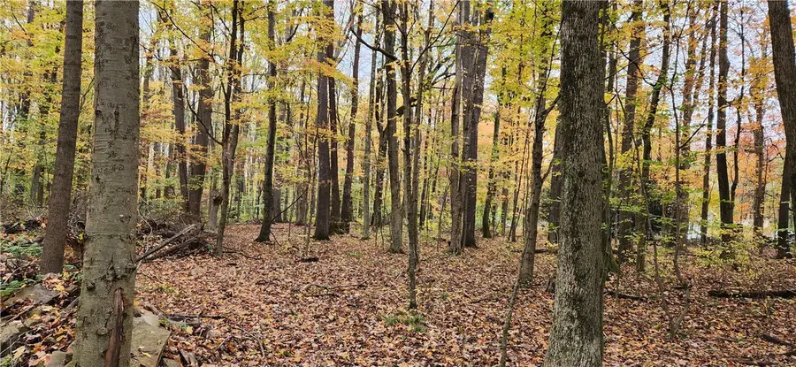 #3