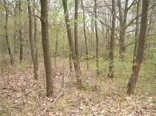 #3