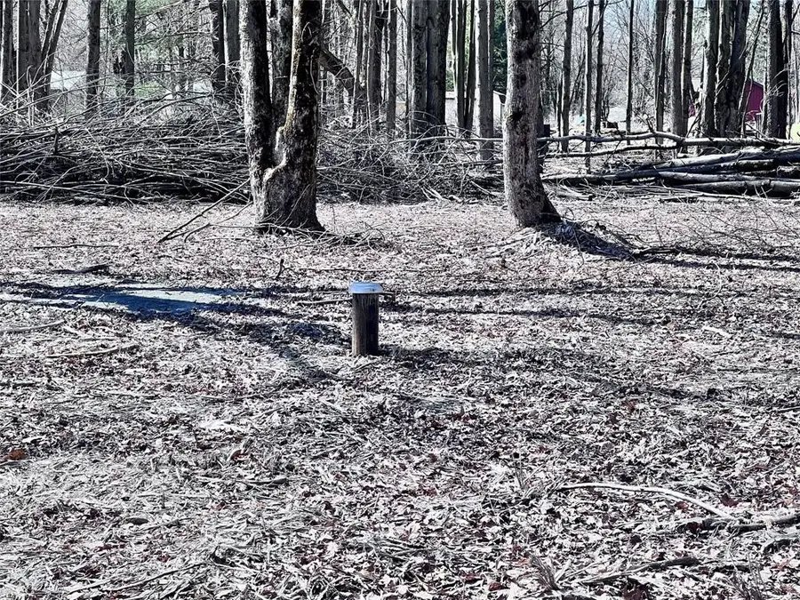 2369 Leach Rd, Linesville, PA 16424 - #2