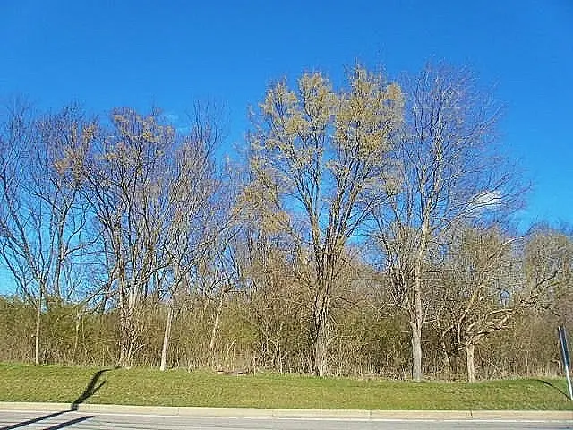 311 Mcmurray Rd, Upper Saint Clair, PA 15241 - Image #1