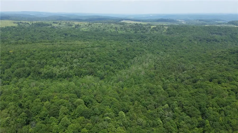 00 Glen Campbell Road, Glen Campbell, PA 15742 - #2