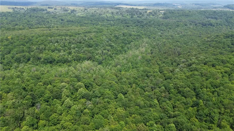 00 Glen Campbell Road, Glen Campbell, PA 15742 - #3