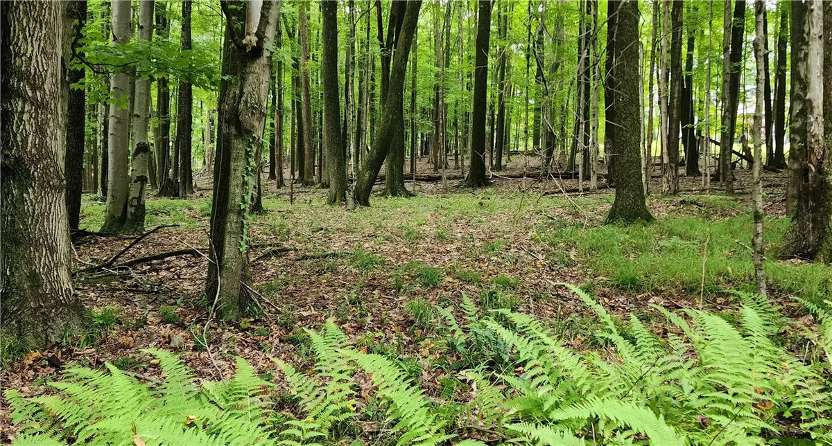 773, sec 15 St.barthelemy Rd, Dubois, PA 15801 - #1