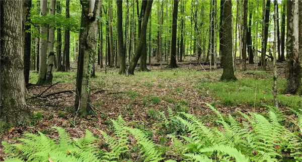 773, sec 15 St.barthelemy Rd, Dubois, PA 15801