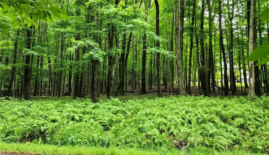 773, sec 15 St.barthelemy Rd, Dubois, PA 15801 - #2