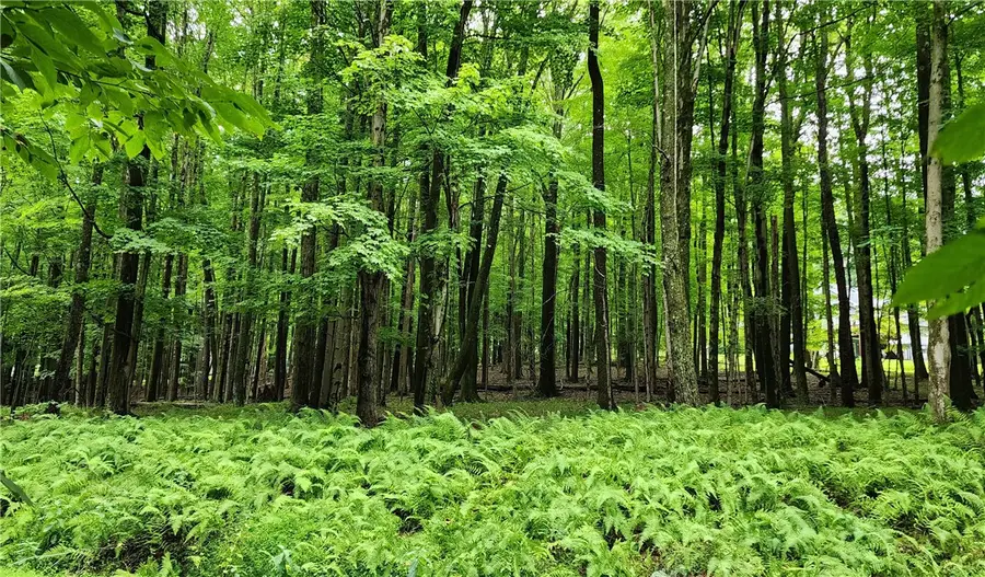 773, sec 15 St.barthelemy Rd, Dubois, PA 15801 - #3