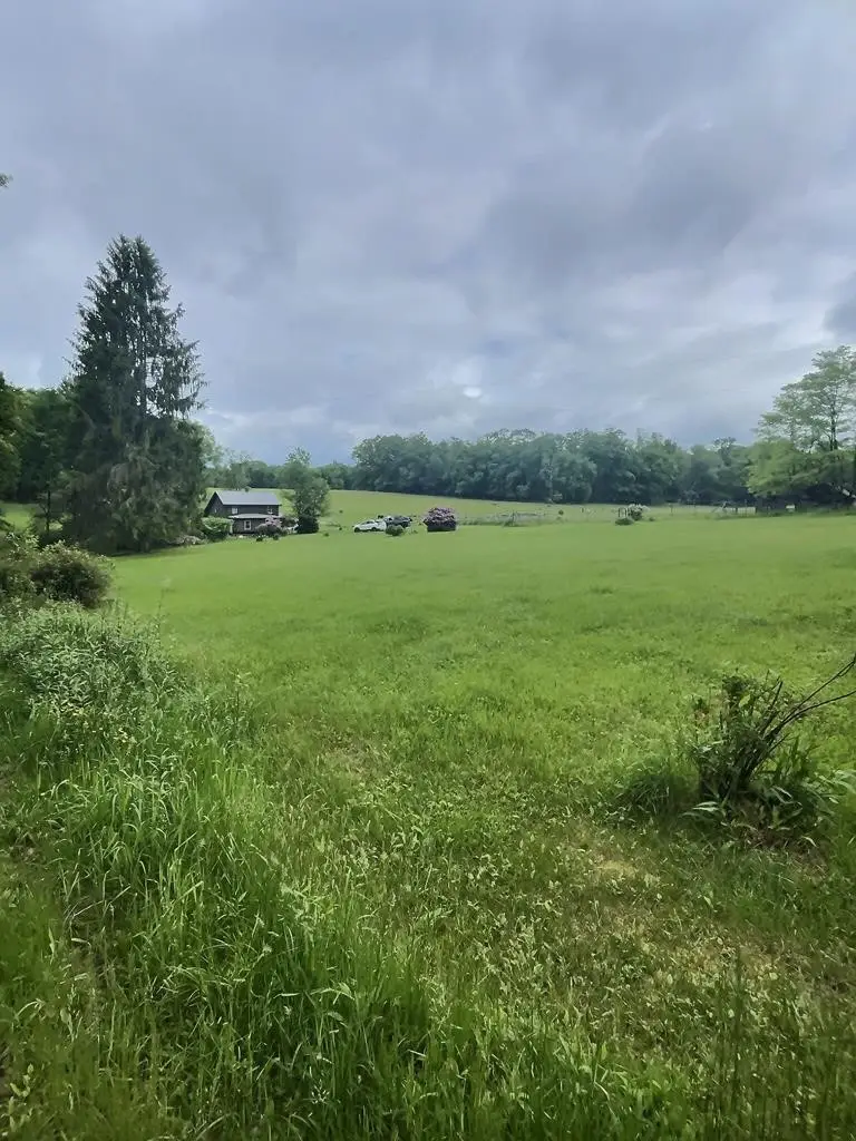 1029 Greenwood Road, Marienville, PA 16239 - #1