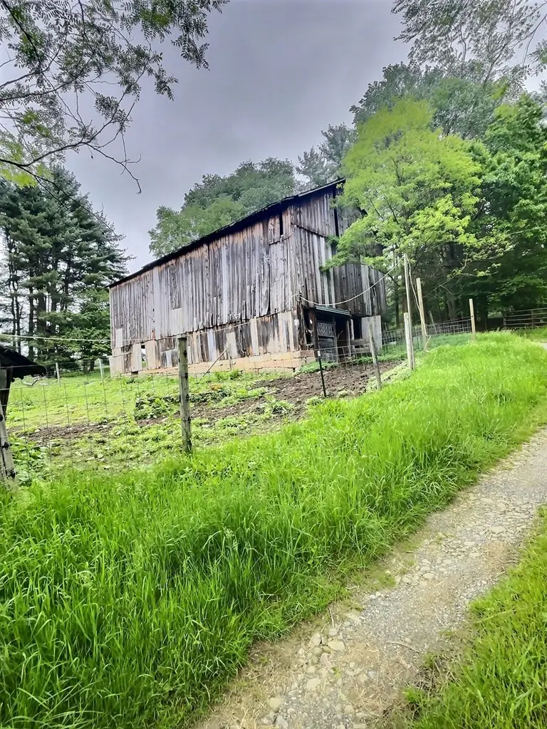 1029 Greenwood Road, Marienville, PA 16239 - #2