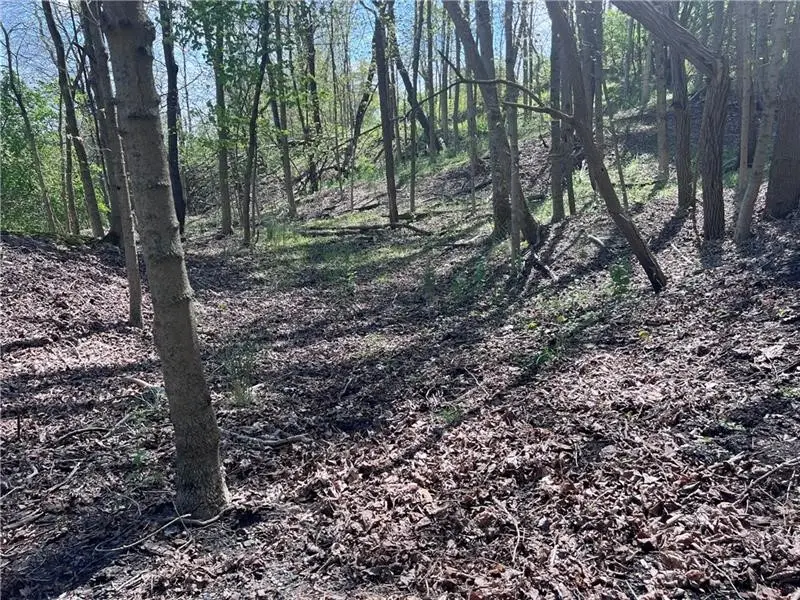 0 Mcburney Road, McGovern, PA 15342 - Image #1