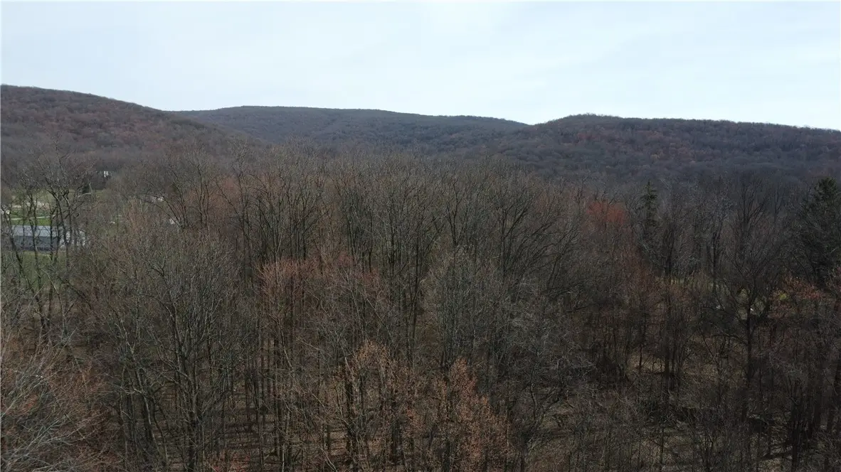 222 Hopwood Coolspring Rd, Hopwood, PA 15445 - #1