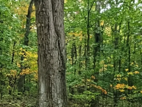 #3
