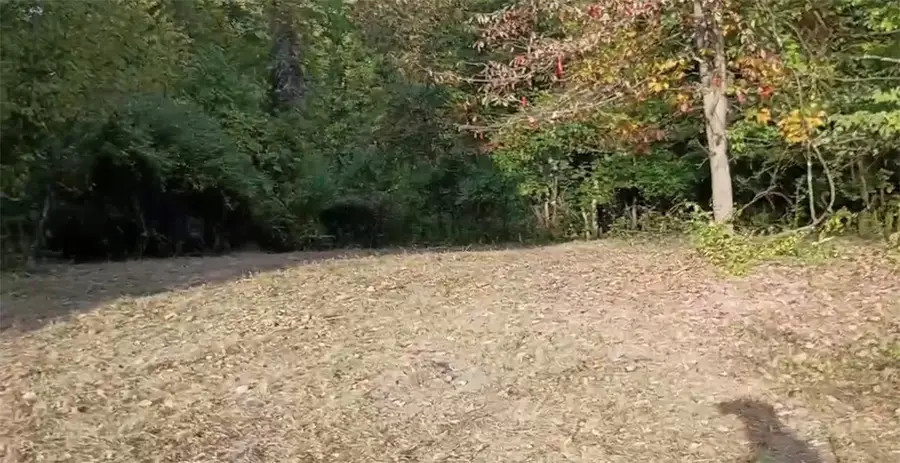 #2