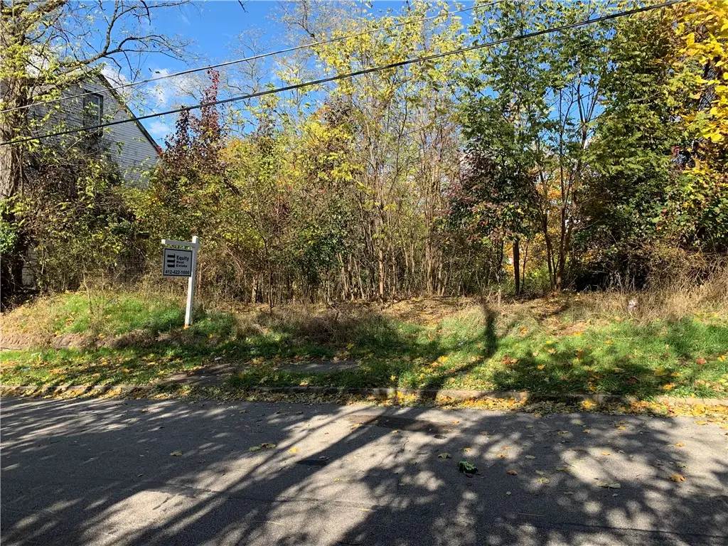 49 Almeda, Hazelwood, PA 15207 - Image #1