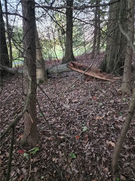 #3