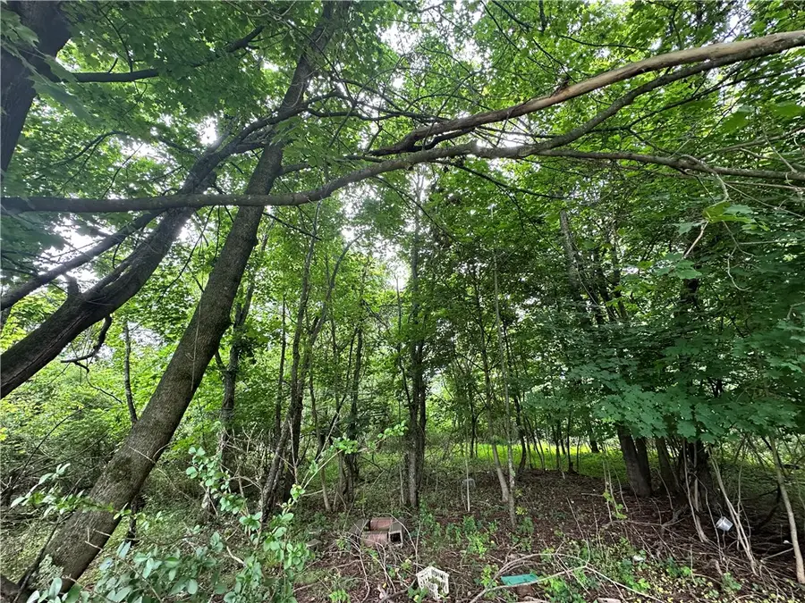 0 Holly Alley, Buckingham, PA 15475 - Image #2