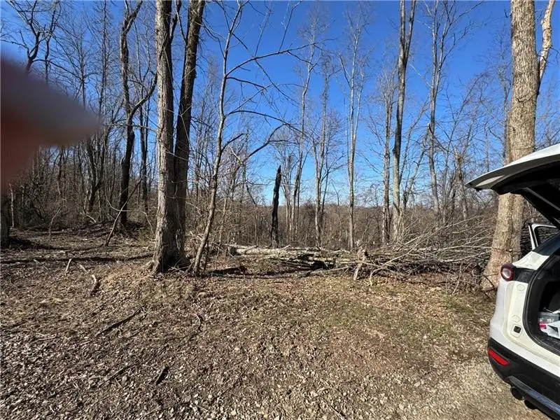 00 Fallen Timber, Independence, PA 15312 - Image #3