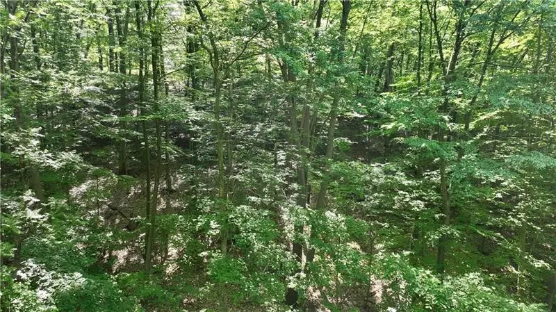 000 Gass Rd, Pittsburgh, PA 15229 - #2