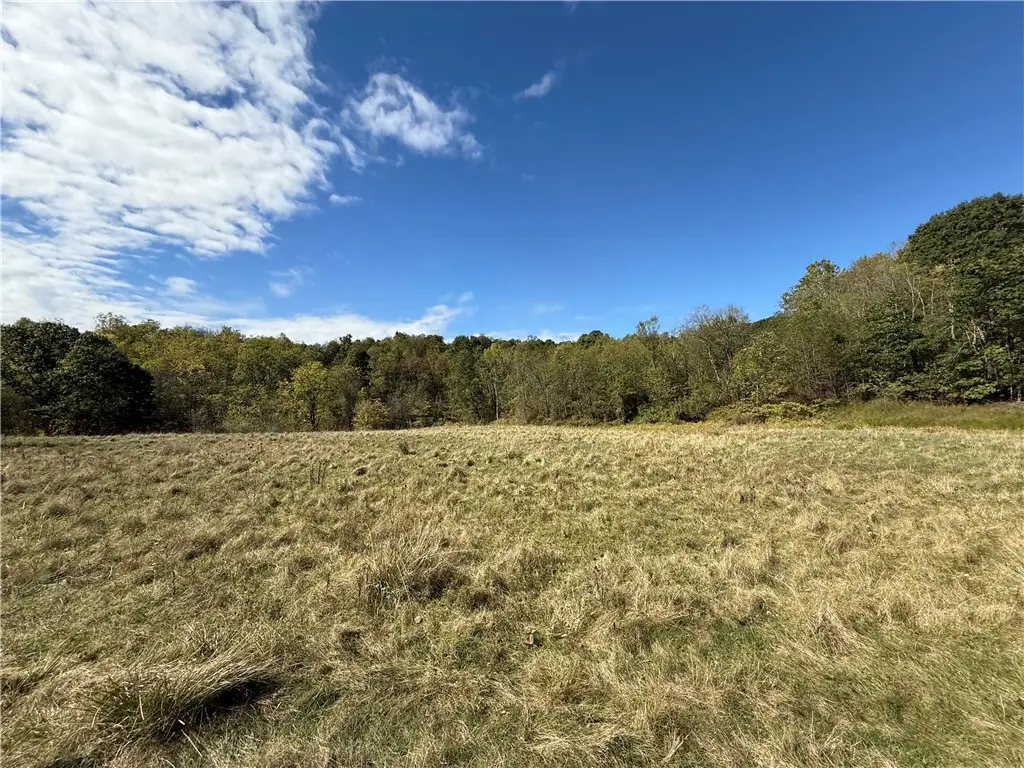 00 Mine Road, Morgan, PA 15370 - Image #1