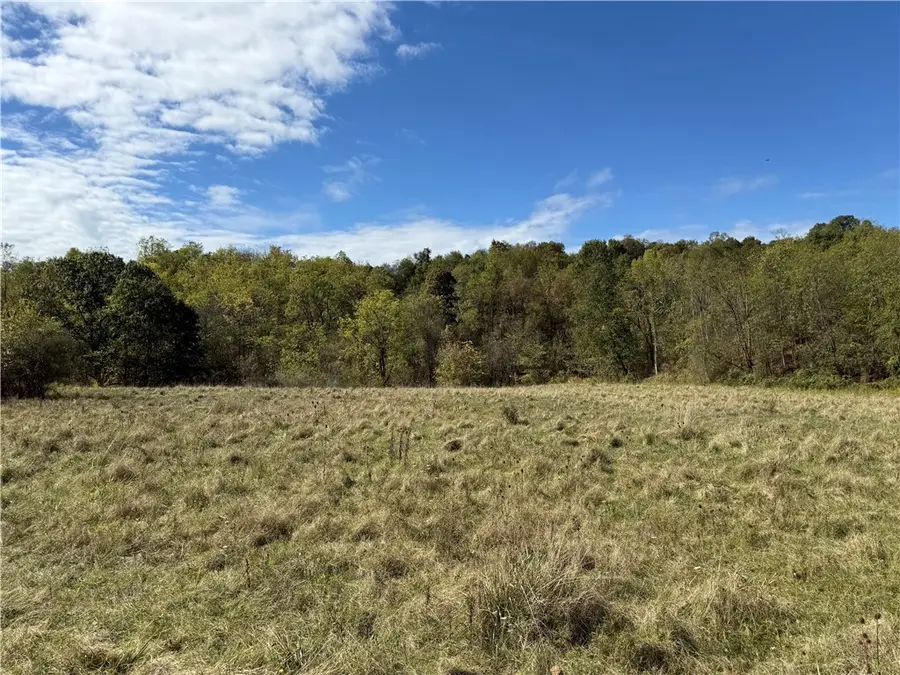 00 Mine Road, Morgan, PA 15370 - Image #2