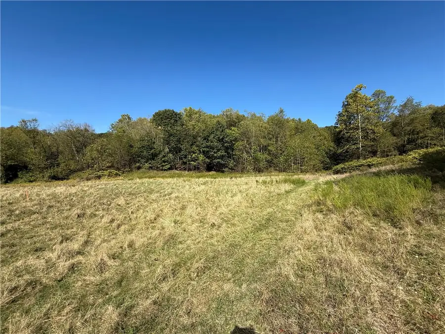 00 Mine Road, Morgan, PA 15370 - Image #3