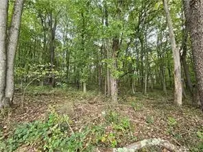 000 Lot 22 Dally Road, Long Branch, PA 15423 - #2