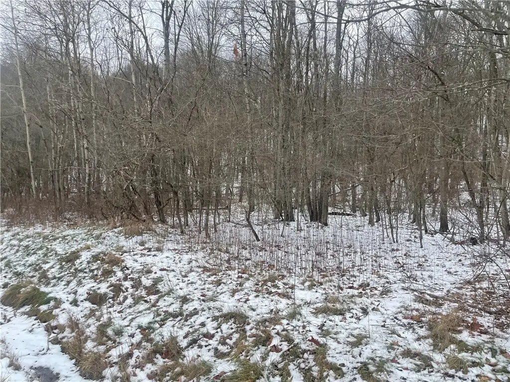 lot175 Kittanning Run, Claysburg, PA 16625 - #1