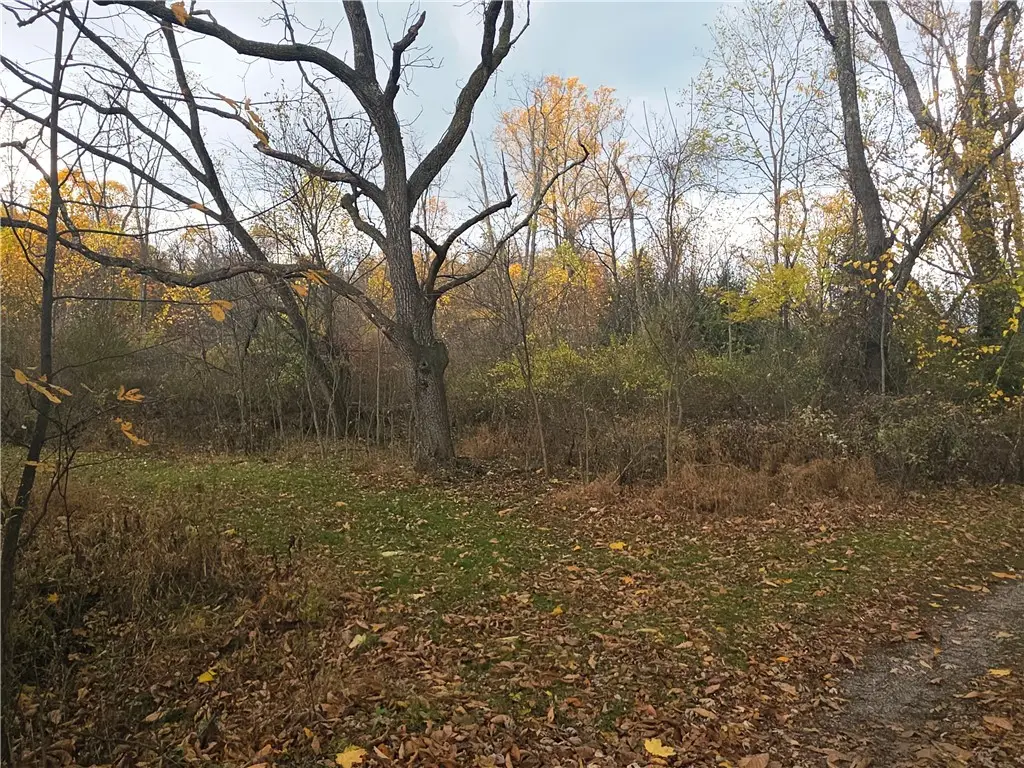 0 White School Rd., Unity Township, PA 15601 - Image #1