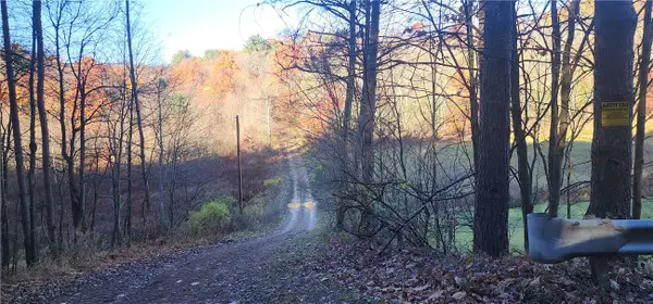 0 Reed Rd, Punxsutawney Area School District, PA 16240