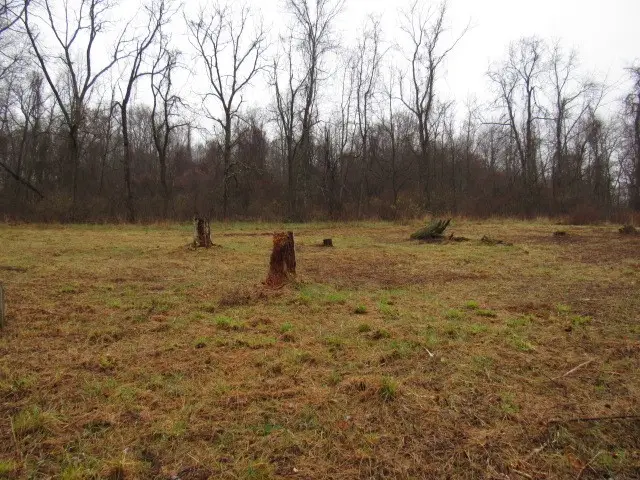 1047 Cinder Road, Dunbar Township, PA 15431 - Image #3