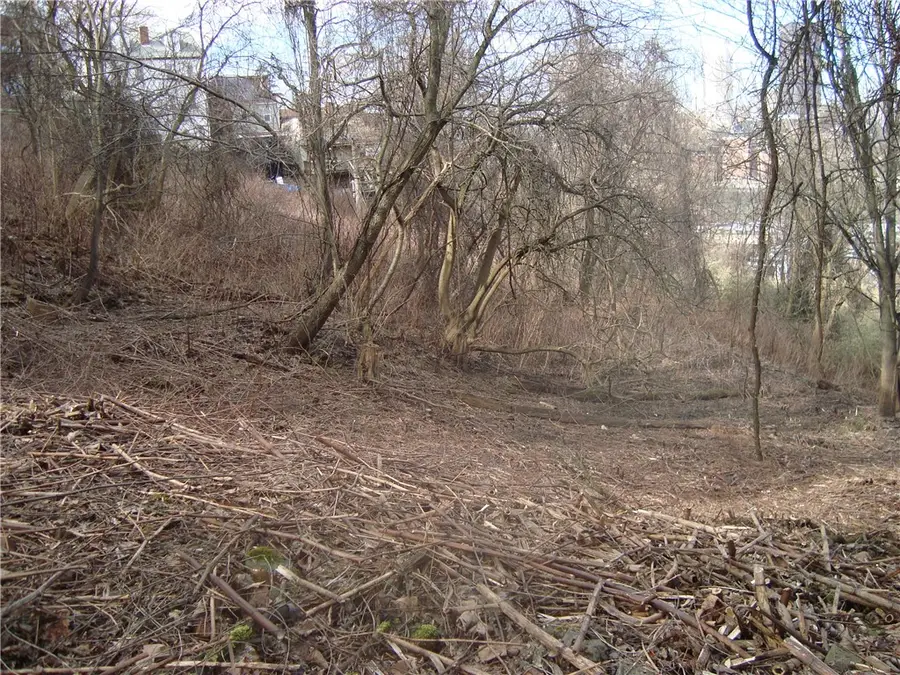 0 Hartford St, Pittsburgh, PA 15203 - Image #3