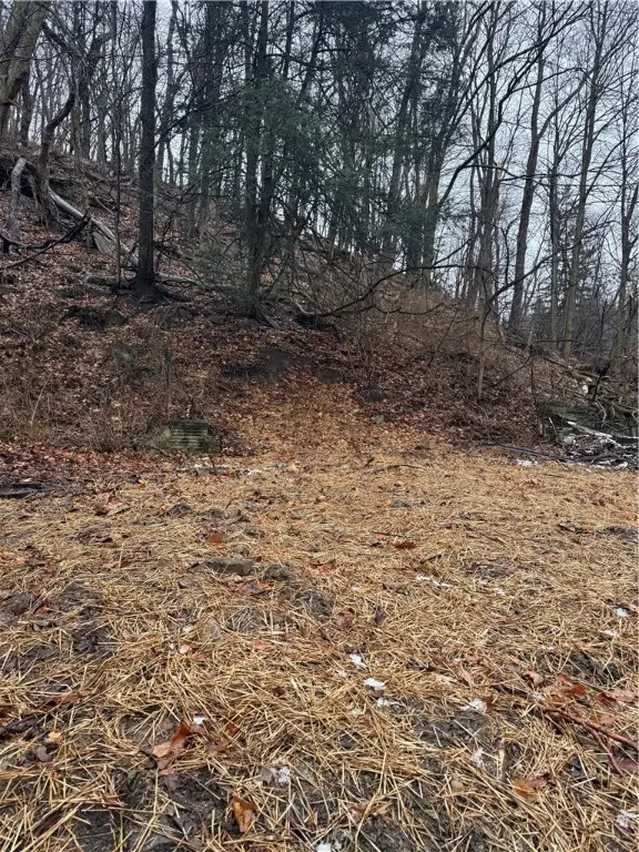 731 Stanton Ave., Millvale, PA 15209 - Image #2