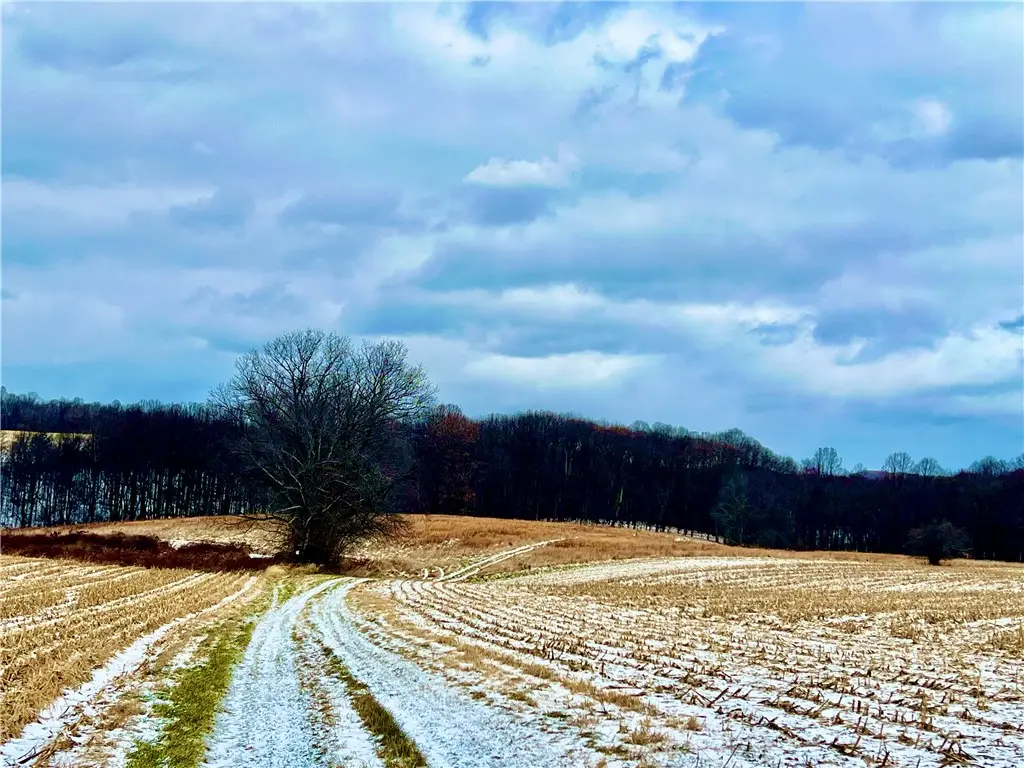00 Laurel Rd, Shelocta, PA 15774 - Image #1
