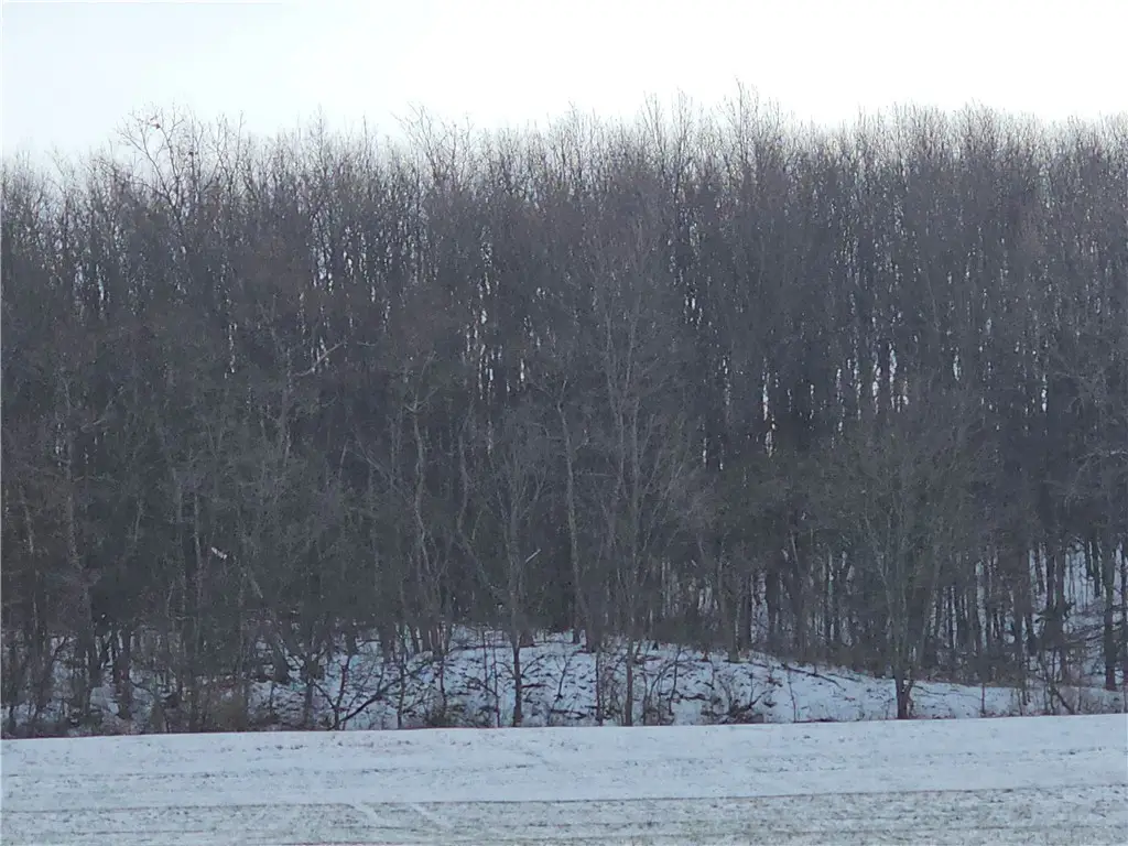 0 Concord Church Rdrt#588, Marion, PA 15010 - Image #1