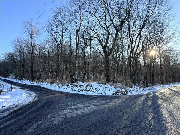 00 Willow Road, Shelocta, PA 15701