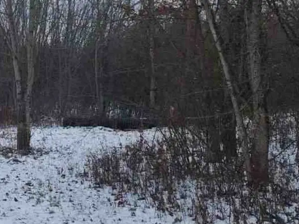 2008 Sunny Ave Extension, New Castle, PA 16101