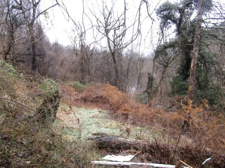 1633 E Cherryhill St, Pittsburgh, PA 15210 - #3