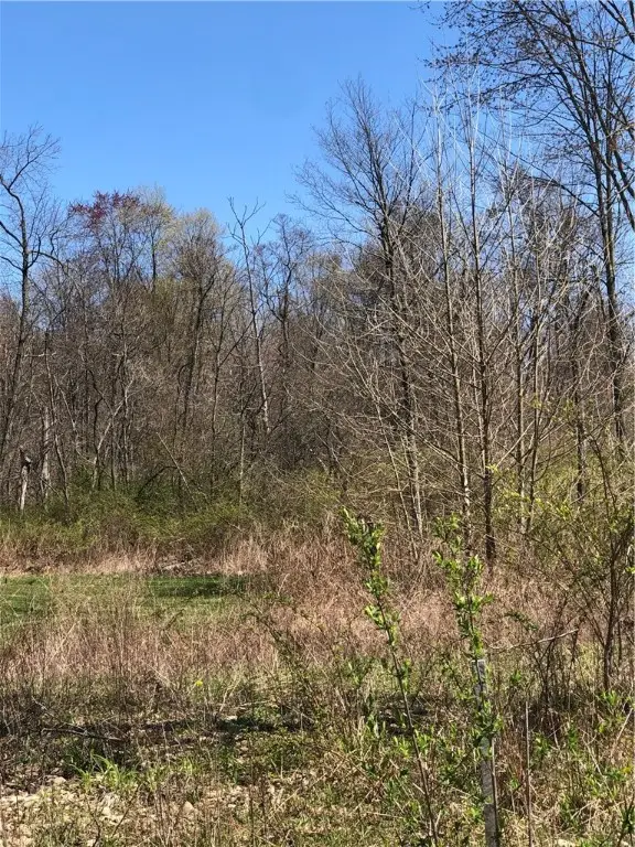 lots 4,7,8 W. Washington St., New Castle, PA 16101 - Image #3