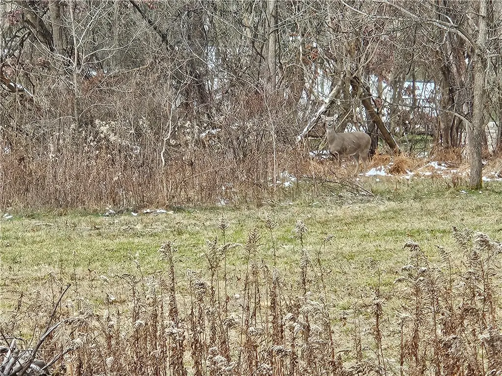 2505 Lot 2 Guffey, North Huntingdon, PA 15642 - Image #1