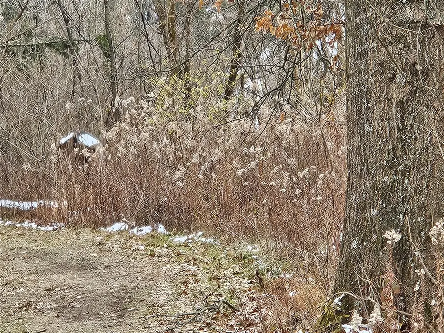 2505 Lot 2 Guffey, North Huntingdon, PA 15642 - Image #2