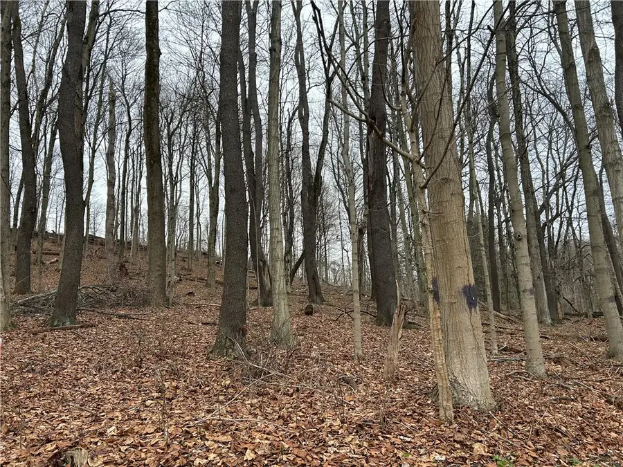 Bieda Lot Davis School Road, South Strabane Township, PA 15301 - Image #2