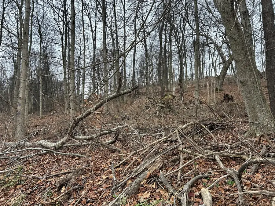 Bieda Lot Davis School Road, South Strabane Township, PA 15301 - Image #3