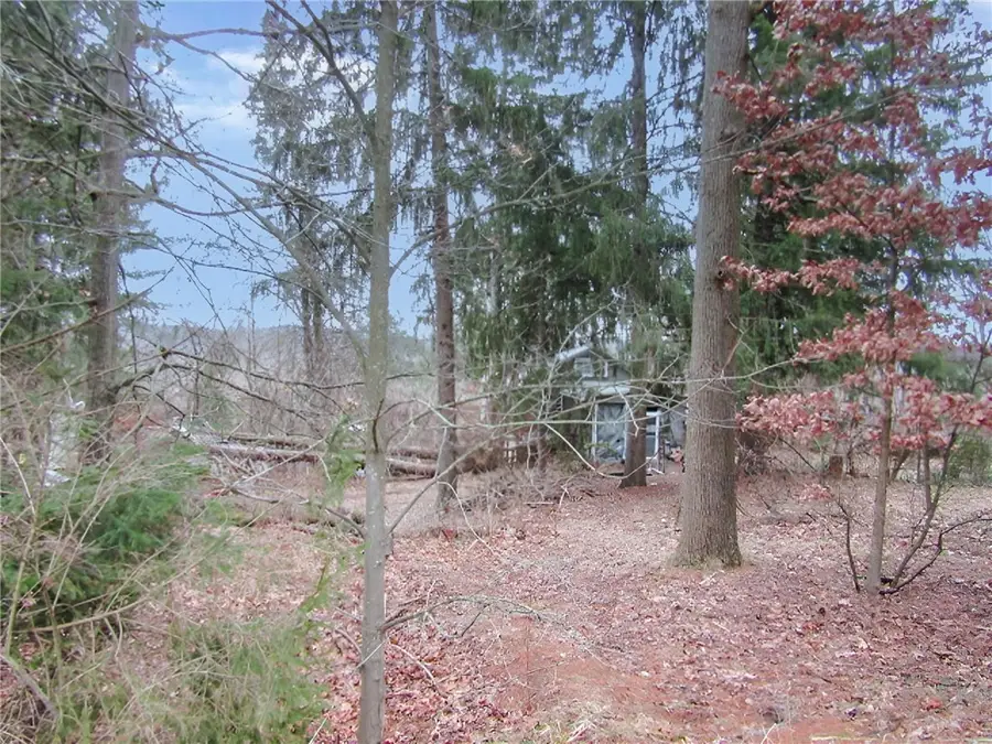 1401 S Elm St, Monaca, PA 15061 - Image #2