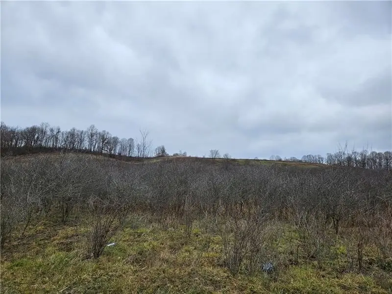 0 State Route 168, South Beaver, PA 16115 - #2