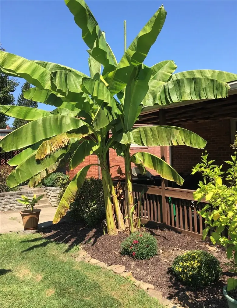 422 Dunbar Dr., Wilkins Township, PA 15235 - #3