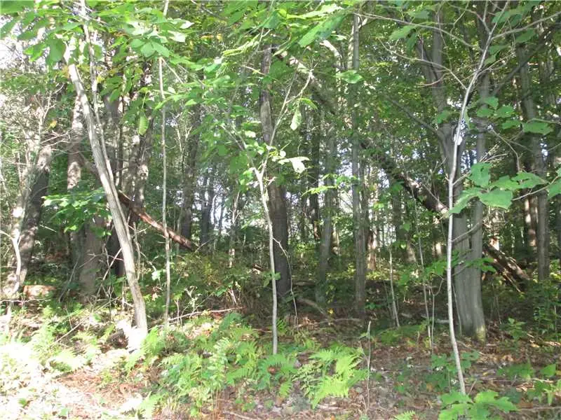 Lot228R Shearsburg Rd, Allegheny, PA 15068 - #1