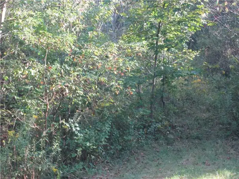 Lot228R Shearsburg Rd, Allegheny, PA 15068 - #2