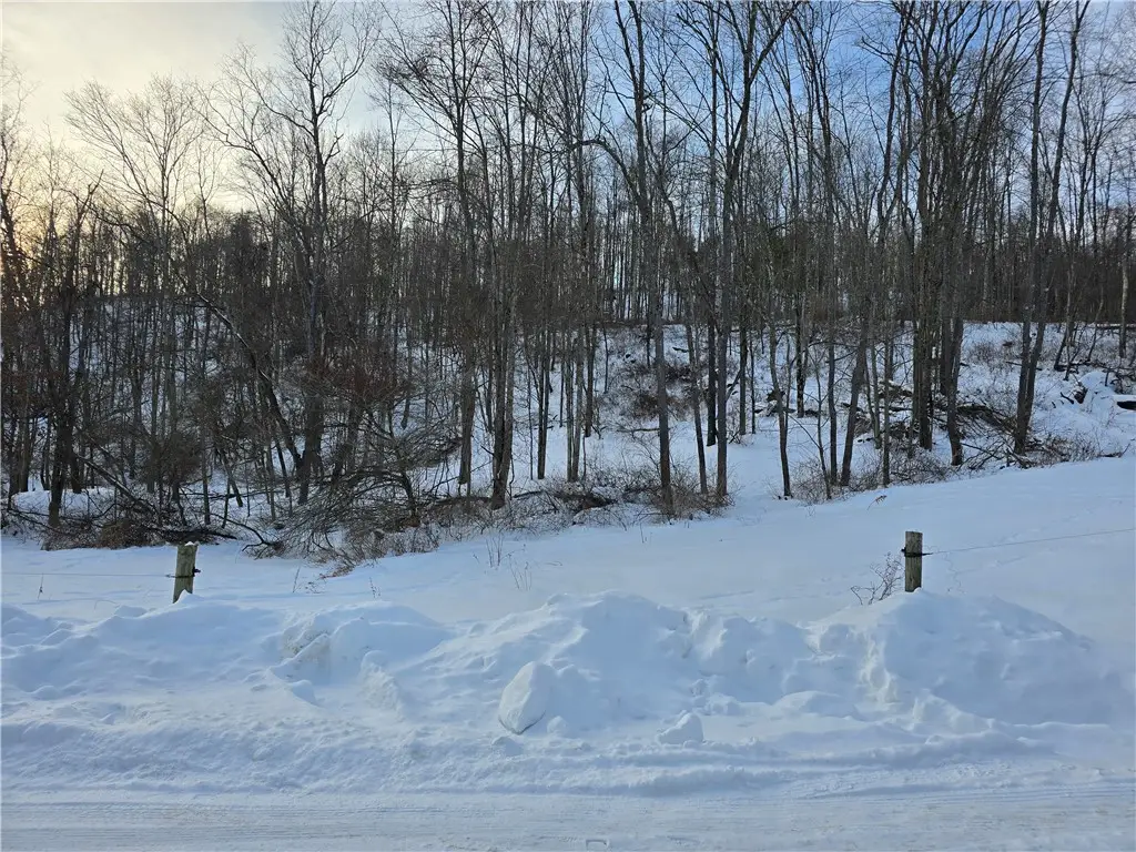 0 Birch Rd, Mayport, PA 16240 - #1