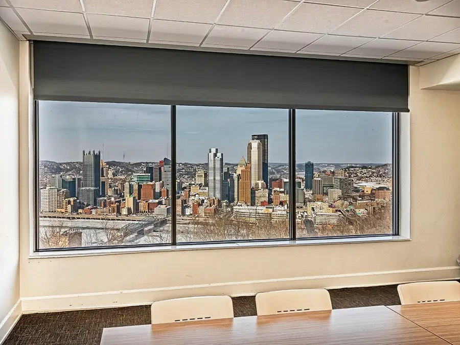 213 Bailey Ave, Mount Washington, PA 15211 - #3