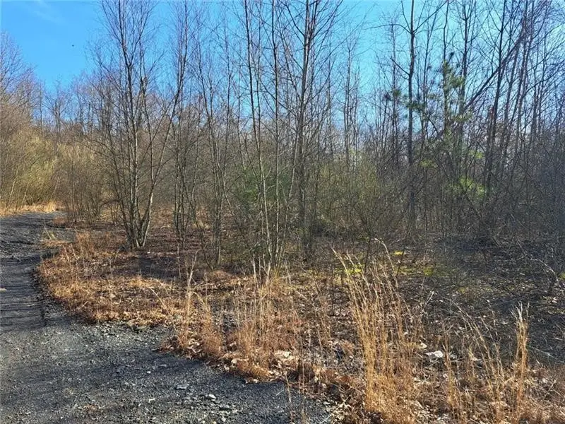 0001 Joffre Cherry Valley Road, Joffre, PA 15053 - #3